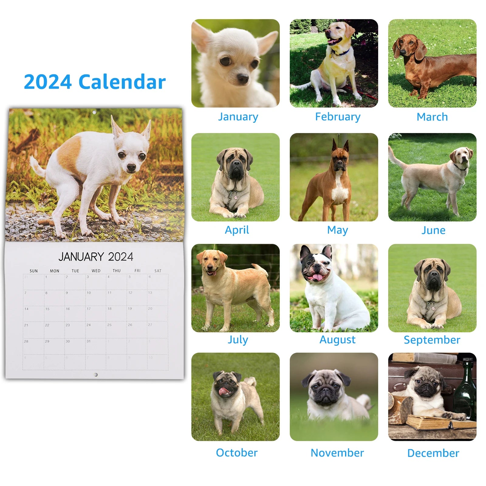 Rolig Kalender 2024 - "Dogs Pooping In Beautiful Places"